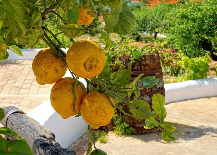 Monte De Madrinha Albufeira
